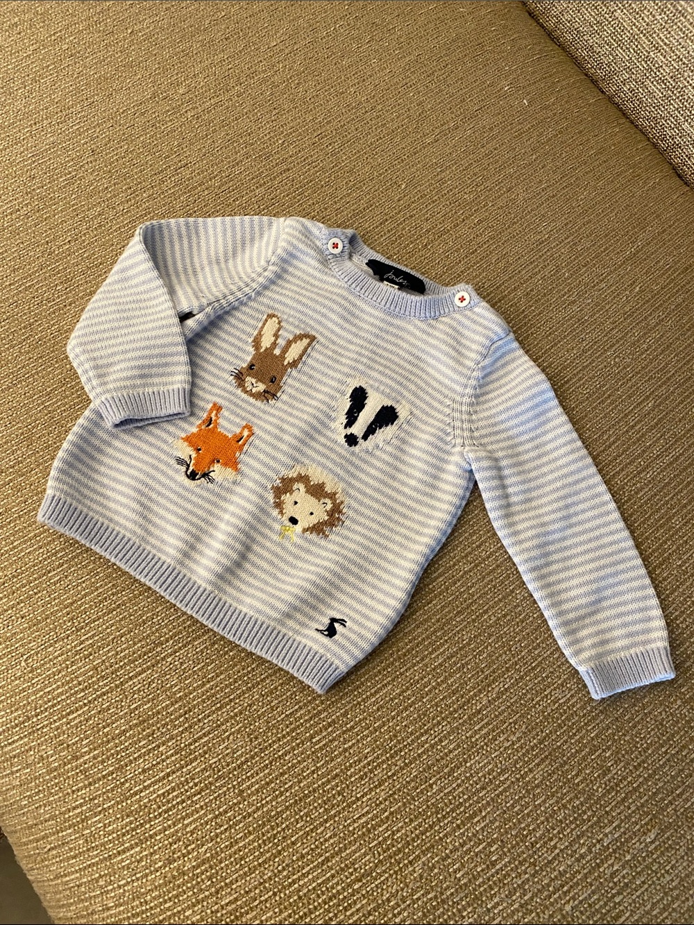 🌼 Joules Soft Blue Striped Kids Sweater with Woodland Animal Design
